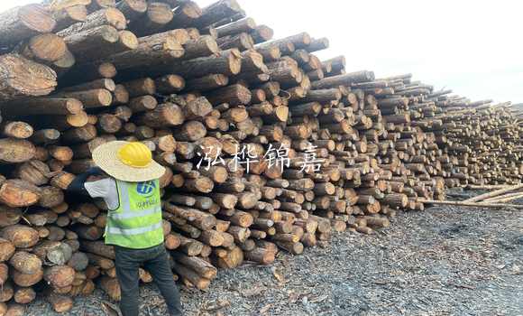 松木樁是什么，松木樁的用途有哪些-松木樁介紹
