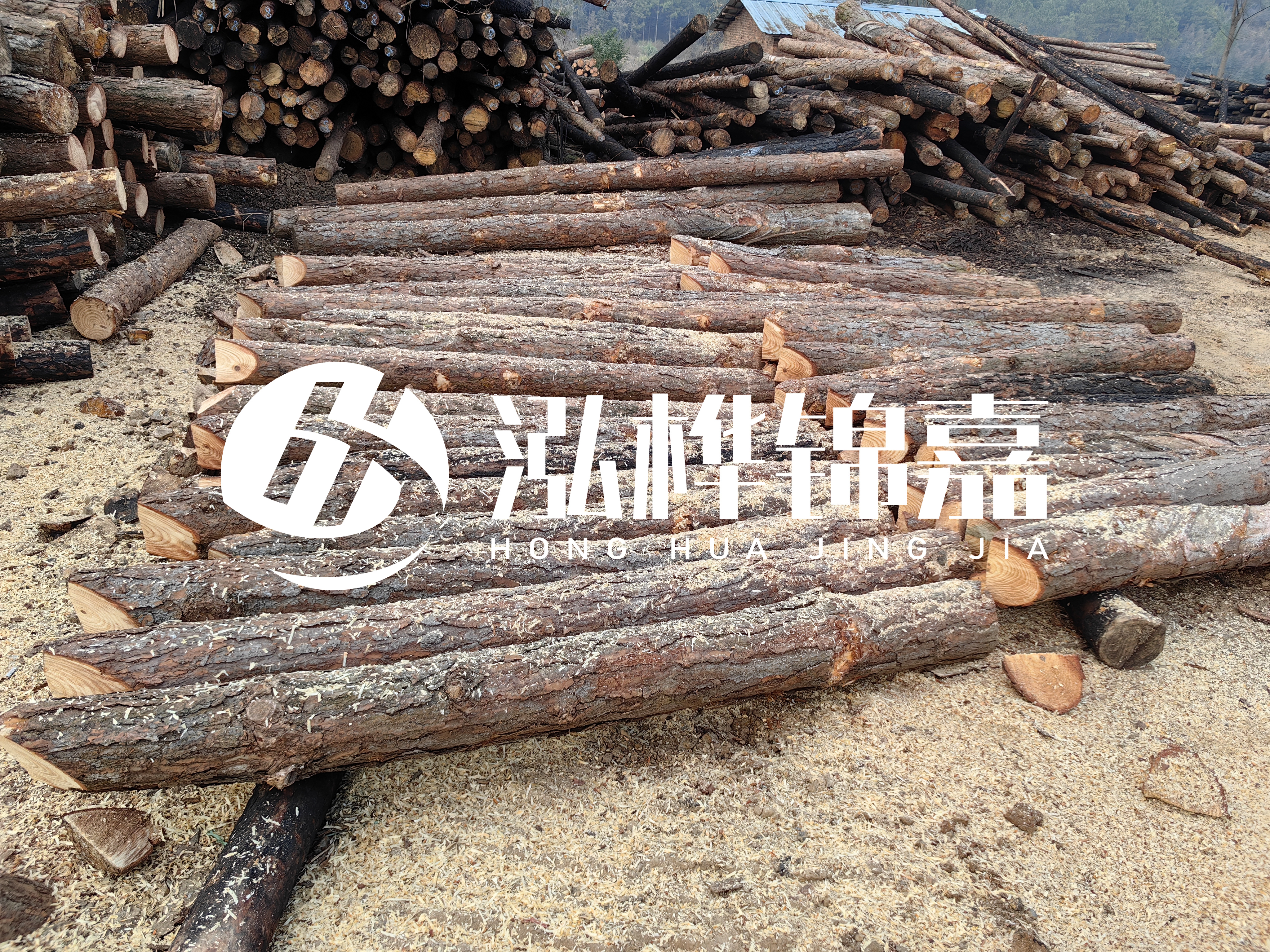 河道打樁木重復(fù)利用嗎？