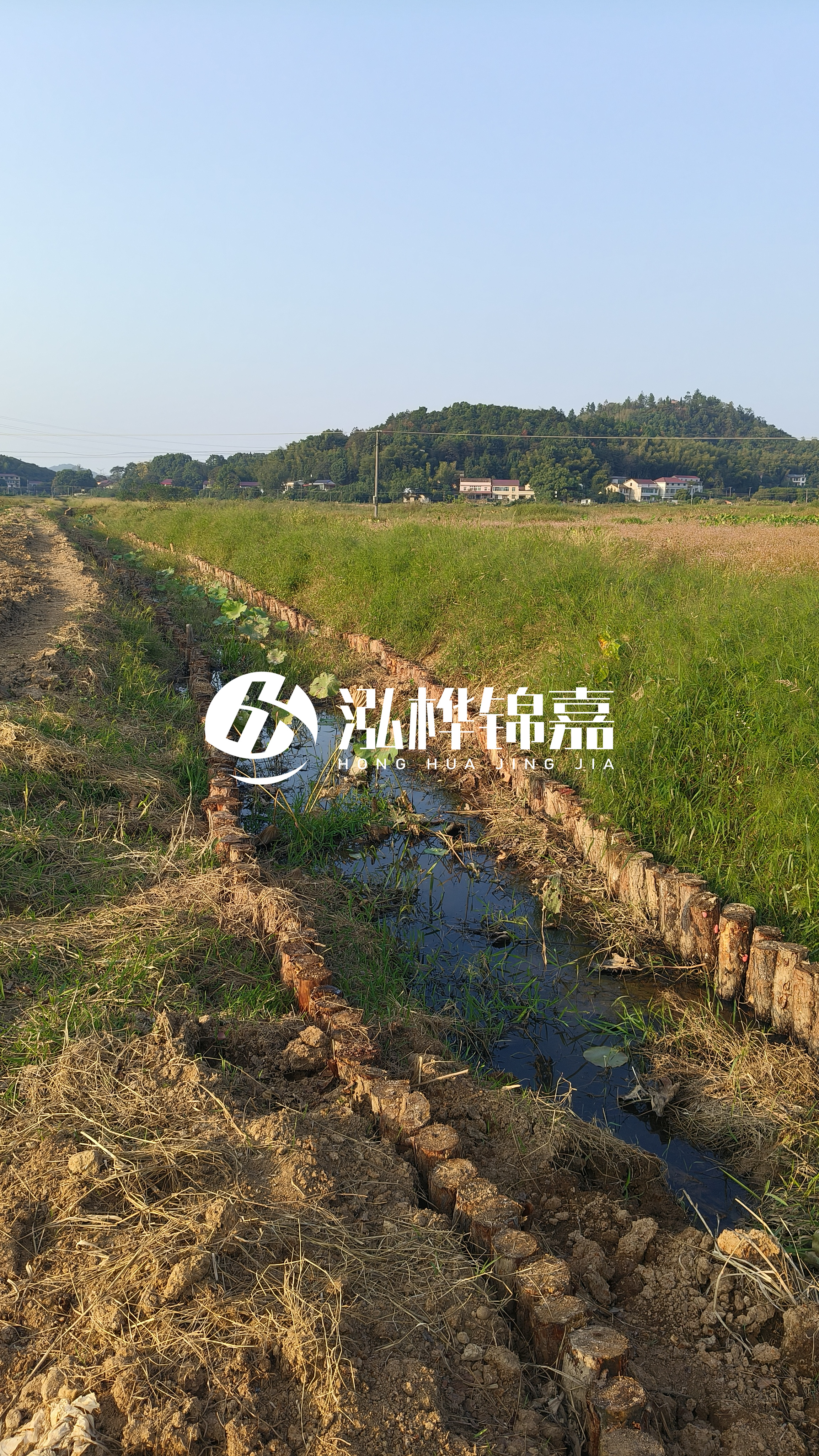 河道護坡打木樁的目的全解析：你知道幾個？
